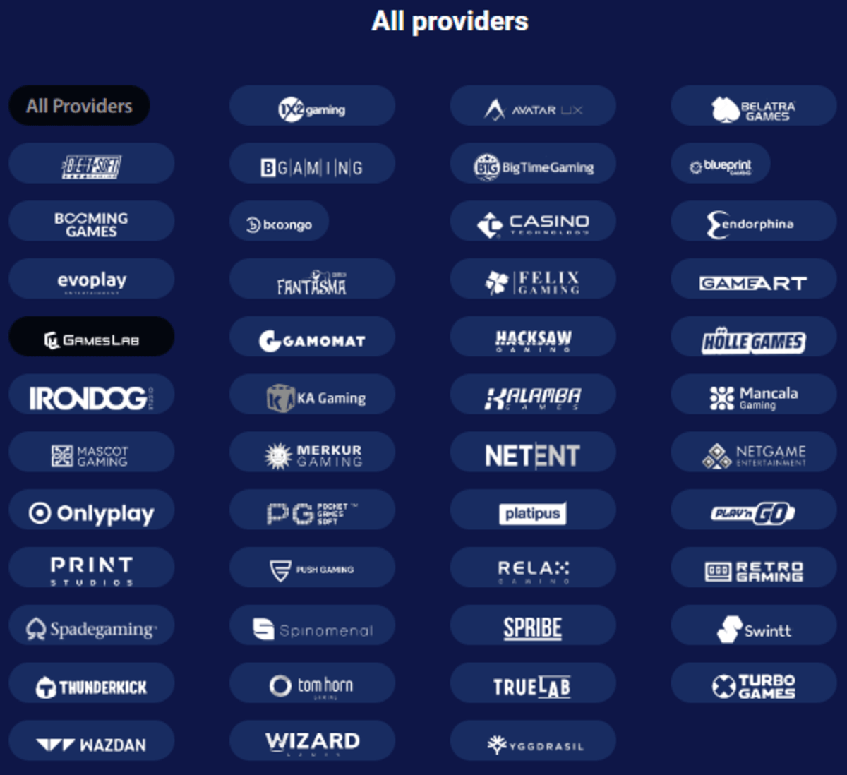 Blizz Software Providers