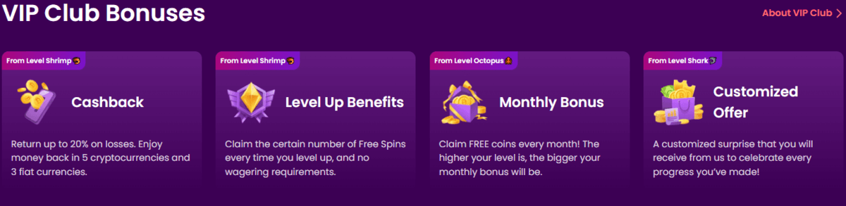 Trustdice Vip Club Bonuses